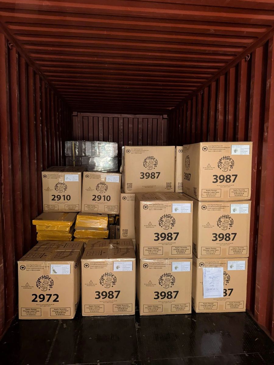 Cargo packed for ocean freight